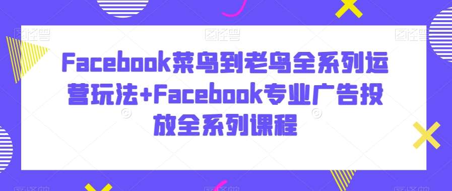 Facebook菜鸟到老鸟全系列运营玩法+Facebook专业广告投放全系列课程|无忧资源社