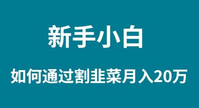 （9308期）新手小白如何通过割韭菜月入 20W|无忧资源社