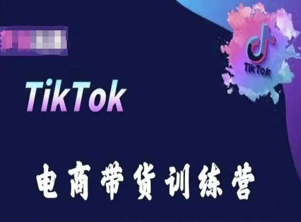TikTok电商带货训练营，跟随时代潮流，跨境掘金|无忧资源社