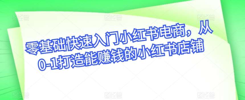 零基础快速入门小红书电商，从0-1打造能赚钱的小红书店铺|无忧资源社