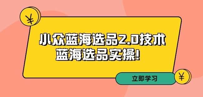 拼多多培训第33期：小众蓝海选品2.0技术-蓝海选品实操！|无忧资源社