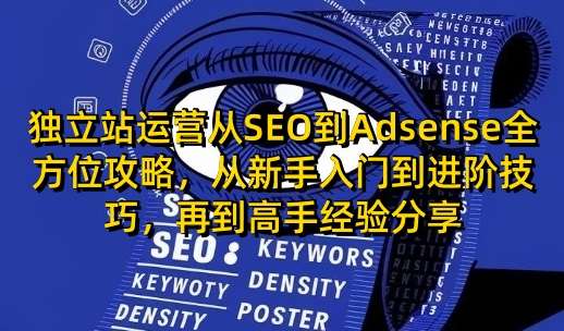 独立站运营从SEO到Adsense全方位攻略，从新手入门到进阶技巧，再到高手经验分享|无忧资源社