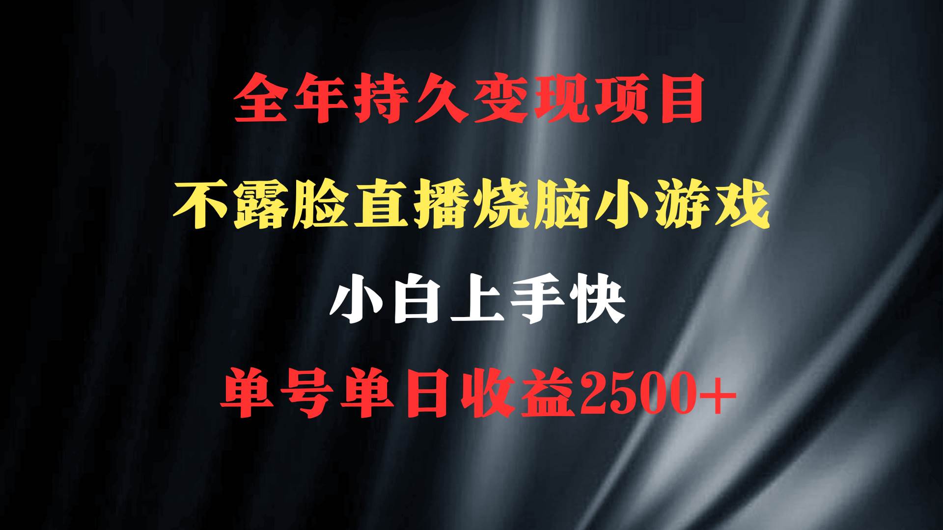 （9168期）2024年 最优项目，烧脑小游戏不露脸直播  小白上手快 无门槛 一天收益2500+|无忧资源社