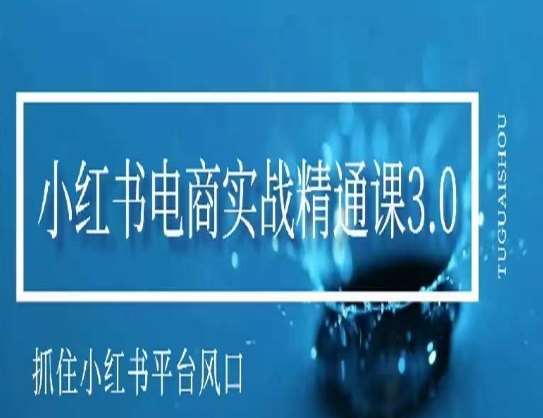 小红书电商实战精通课3.0，抓住小红书平台的风口，不错过有一个赚钱的机会|无忧资源社