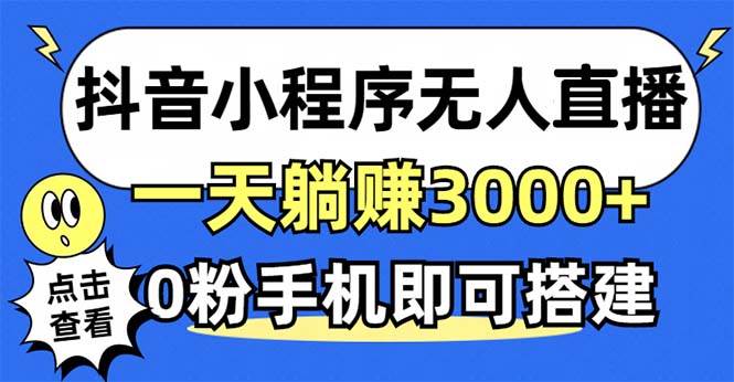 （12988期）抖音小程序无人直播，一天躺赚3000+，0粉手机可搭建，不违规不限流，小…|无忧资源社