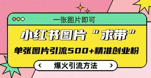 小红书图片‘求带’爆火引流法，单张图片引流500+精准创业粉【揭秘】|无忧资源社
