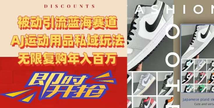 被动引流蓝海赛道，AJ运动用品私域玩法，无限复购年入百万【揭秘】|无忧资源社