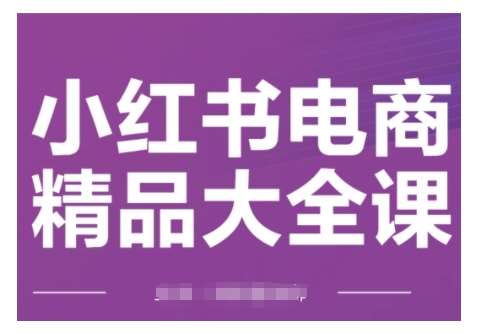 小红书电商精品大全课，快速掌握小红书运营技巧，实现精准引流与爆单目标，轻松玩转小红书电商|无忧资源社