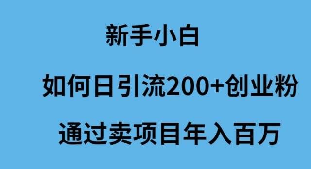 （9668期）新手小白如何日引流200+创业粉通过卖项目年入百万|无忧资源社