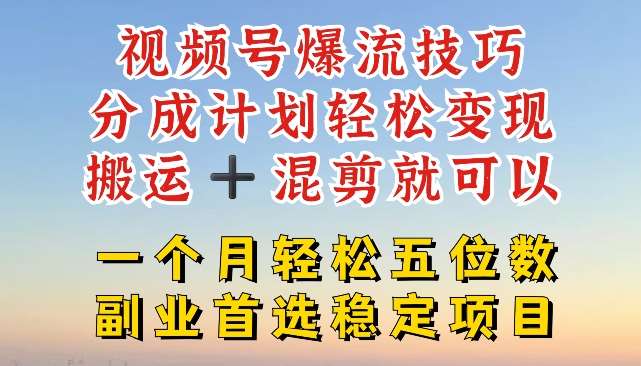 视频号爆流技巧，分成计划轻松变现，搬运 +混剪就可以，一个月轻松五位数稳定项目【揭秘】|无忧资源社