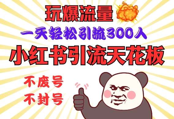小红书引流天花板，玩爆流量，一天轻松引流300人，安全操作|无忧资源社