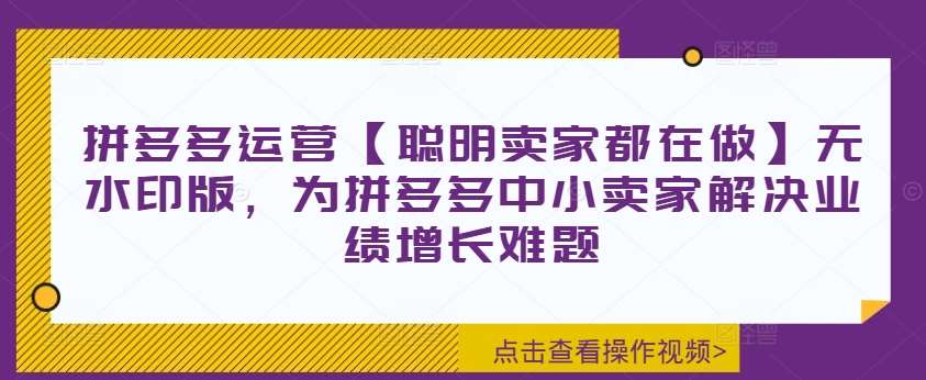 拼多多运营【聪明卖家都在做】无水印版，为拼多多中小卖家解决业绩增长难题|无忧资源社