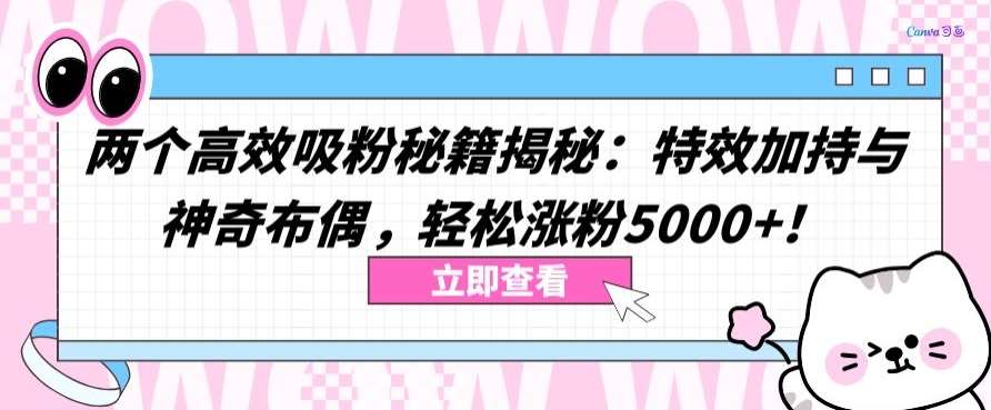 两个高效吸粉秘籍揭秘：特效加持与神奇布偶，轻松涨粉5000+【揭秘】|无忧资源社