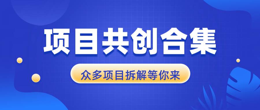 （13778期）项目共创合集，从0-1全过程拆解，让你迅速找到适合自已的项目|无忧资源社