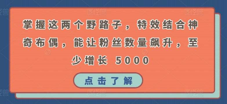 掌握这两个野路子，特效结合神奇布偶，能让粉丝数量飙升，至少增长 5000【揭秘】|无忧资源社