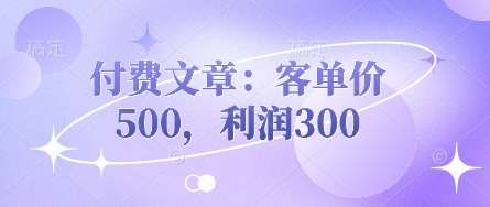 付费文章：客单价500，利润300|无忧资源社