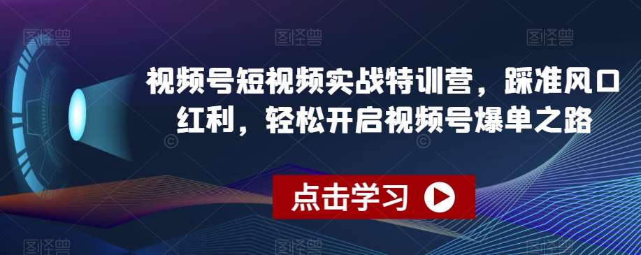 视频号短视频实战特训营，踩准风口红利，轻松开启视频号爆单之路|无忧资源社