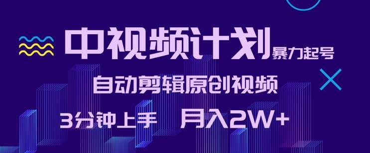 中视频计划暴力起号，自动剪辑原创视频，3分钟上手，月入2W+【揭秘】|无忧资源社