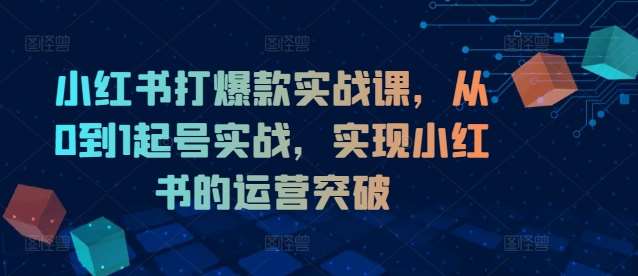 小红书打爆款实战课，从0到1起号实战，实现小红书的运营突破|无忧资源社