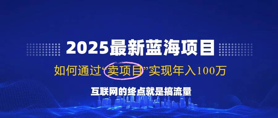 （14305期）2025最新蓝海项目，零门槛轻松复制，月入10万+，新手也能操作！|无忧资源社