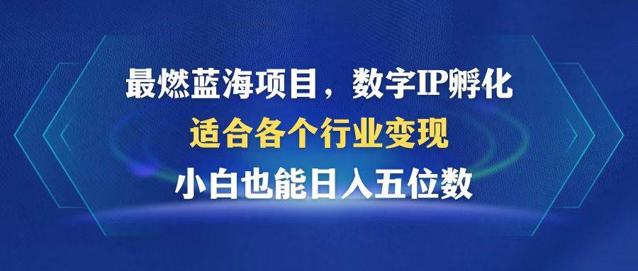 （12941期）最燃蓝海项目  数字IP孵化  适合各个行业变现  小白也能日入5位数|无忧资源社