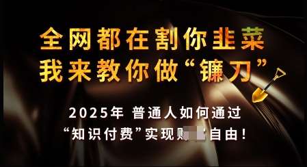 知识付费如何做到月入过W+，2025我来教你做“镰刀”【揭秘】|无忧资源社