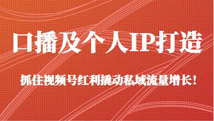 口播及个人IP打造，抓住视频号红利撬动私域流量增长！（45节课）|无忧资源社