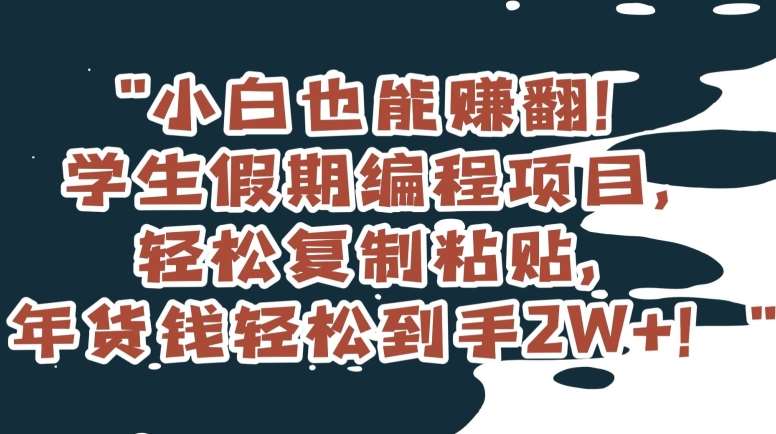小白也能赚翻！学生假期编程项目，轻松复制粘贴，年货钱轻松到手2W+【揭秘】|无忧资源社