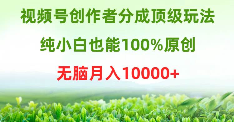 （9608期）视频号创作者分成顶级玩法，纯小白也能100%原创，无脑月入10000+|无忧资源社