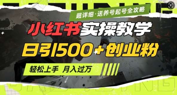 2月小红书最新日引500+创业粉实操教学【超详细】小白轻松上手，月入1W+，附小红书养号起号SOP|无忧资源社