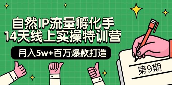 （9881期）自然IP流量孵化手 14天线上实操特训营【第9期】月入5w+百万爆款打造 (74节)|无忧资源社