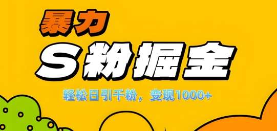 单人单机日引千粉，变现1k+，S粉流量掘金计划攻略【揭秘】|无忧资源社