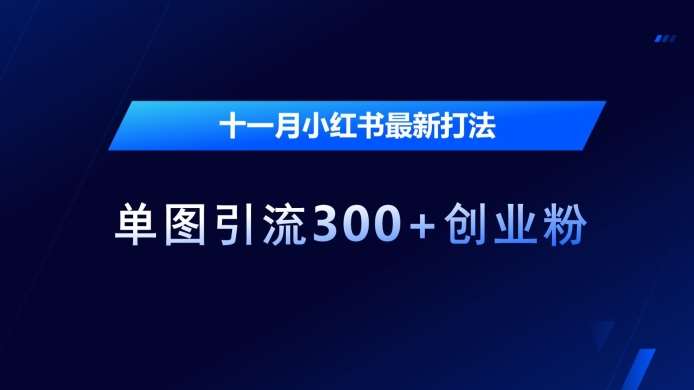 十一月小红书最新打法，单图引流300+创业粉【揭秘】|无忧资源社