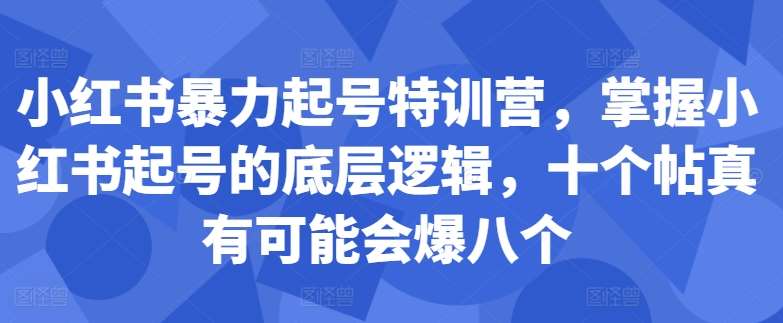 小红书暴力起号特训营，掌握小红书起号的底层逻辑，十个帖真有可能会爆八个|无忧资源社