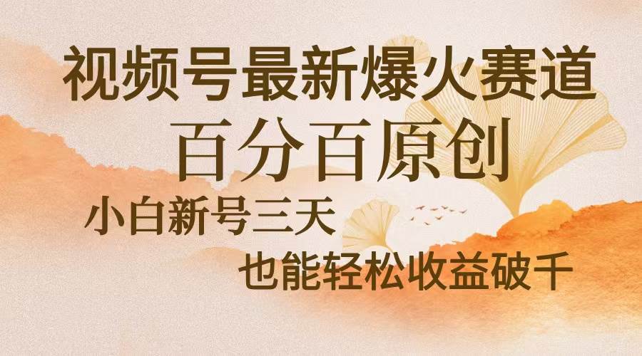 （13225期）视频号最新爆火赛道，中老年粉深信不疑，百分百原创，新号三天收益轻松…|无忧资源社