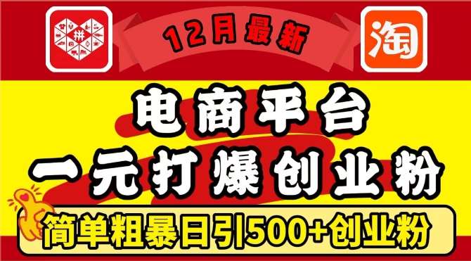 12月最新：电商平台1元打爆创业粉，简单粗暴日引500+精准创业粉，轻松月入过W【揭秘】|无忧资源社