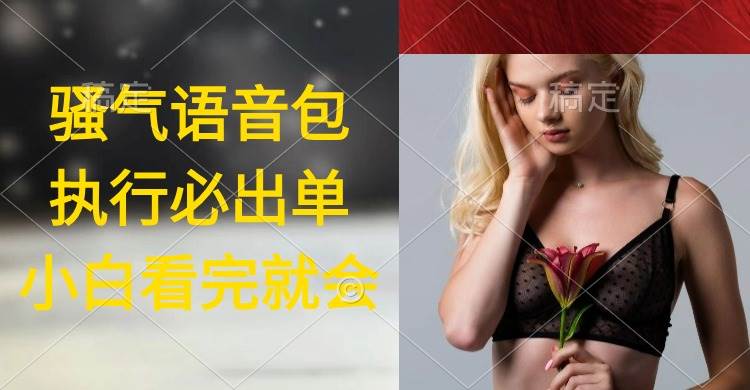 （9589期）执行就出单，日入2000+，超火骚气语音包，小白看完课程就能马上实操|无忧资源社