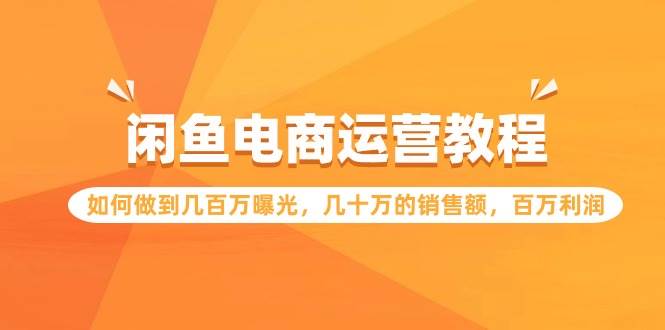 （9560期）闲鱼电商运营教程：如何做到几百万曝光，几十万的销售额，百万利润|无忧资源社