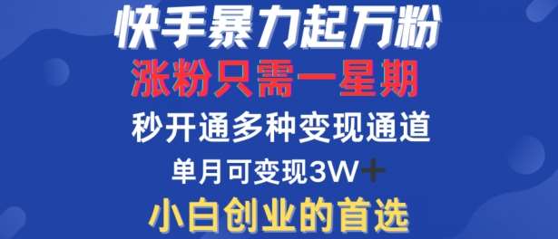 快手暴力起万粉，涨粉只需一星期，多种变现模式，直接秒开万合，单月变现过W【揭秘】|无忧资源社