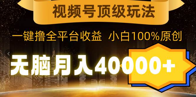 （9281期）视频号顶级玩法，无脑月入40000+，一键撸全平台收益，纯小白也能100%原创|无忧资源社