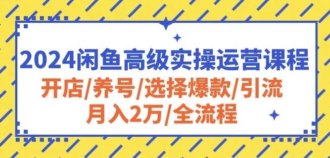 2024闲鱼高级实操运营课程：开店/养号/选择爆款/引流/月入2万/全流程|无忧资源社