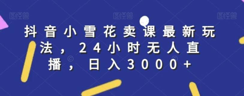 抖音小雪花卖课最新玩法，24小时无人直播，日入3000+【揭秘】|无忧资源社