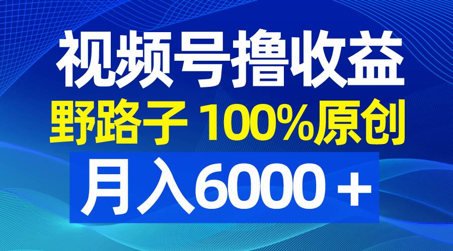 （8679期）视频号野路子撸收益，100%原创，条条爆款，月入6000＋|无忧资源社