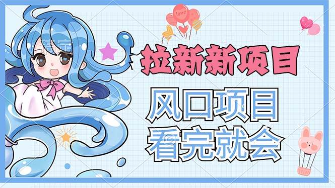 （11613期）拉新界的新玩法，风口项目，看完就会，动手就有|无忧资源社