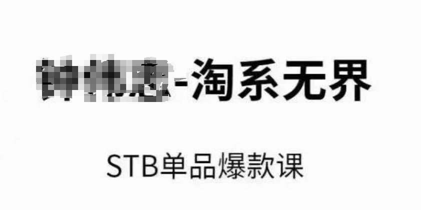 淘系无界STB单品爆款课（2024），付费带动免费的核心逻辑，万相台无界关键词推广/精准人群的核心|无忧资源社