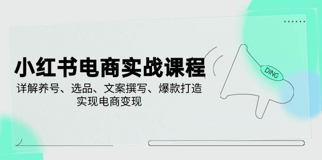 （14549期）小红书电商实战课程，详解养号、选品、文案撰写、爆款打造，实现电商变现|无忧资源社