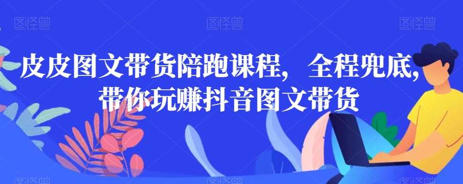 皮皮图文带货陪跑课程，全程兜底，带你玩赚抖音图文带货|无忧资源社