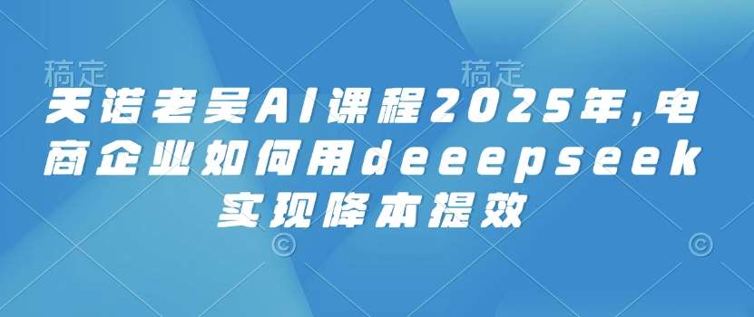 天诺老吴AI课程2025年，电商企业如何用deeepseek实现降本提效|无忧资源社
