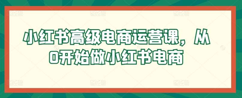 小红书高级电商运营课，从0开始做小红书电商|无忧资源社