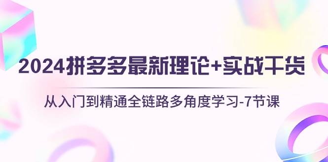 （10816期）2024拼多多 最新理论+实战干货，从入门到精通全链路多角度学习-7节课|无忧资源社